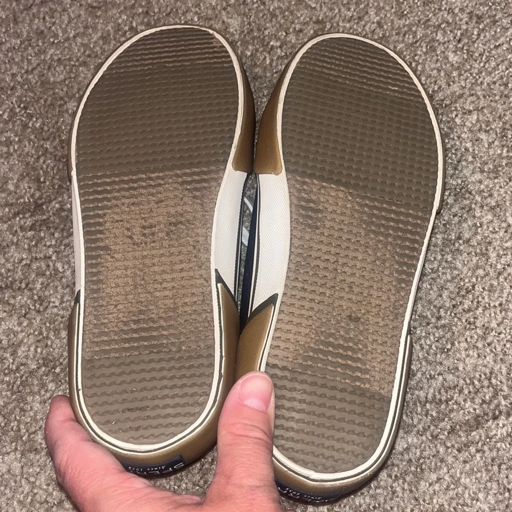 Sperry Navy Sneakers with White Laces - Picture 5 of 5